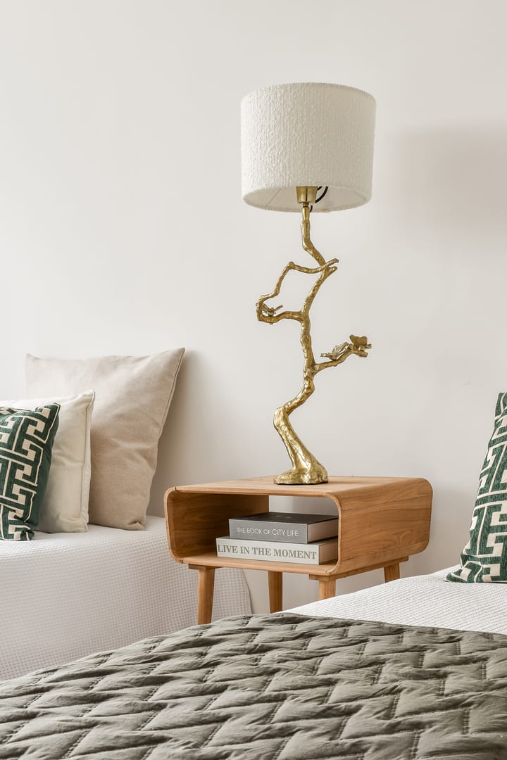 Foto 28 van Jacob de Graeflaan 50