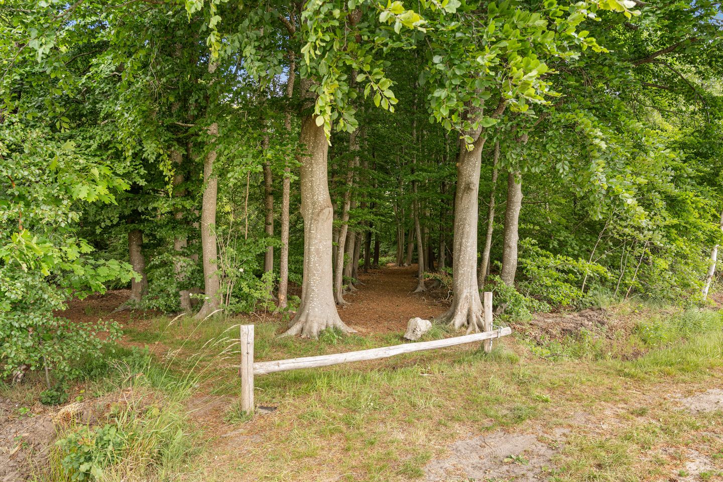 Foto 50 van Nieuw-Amsterdamseweg 20