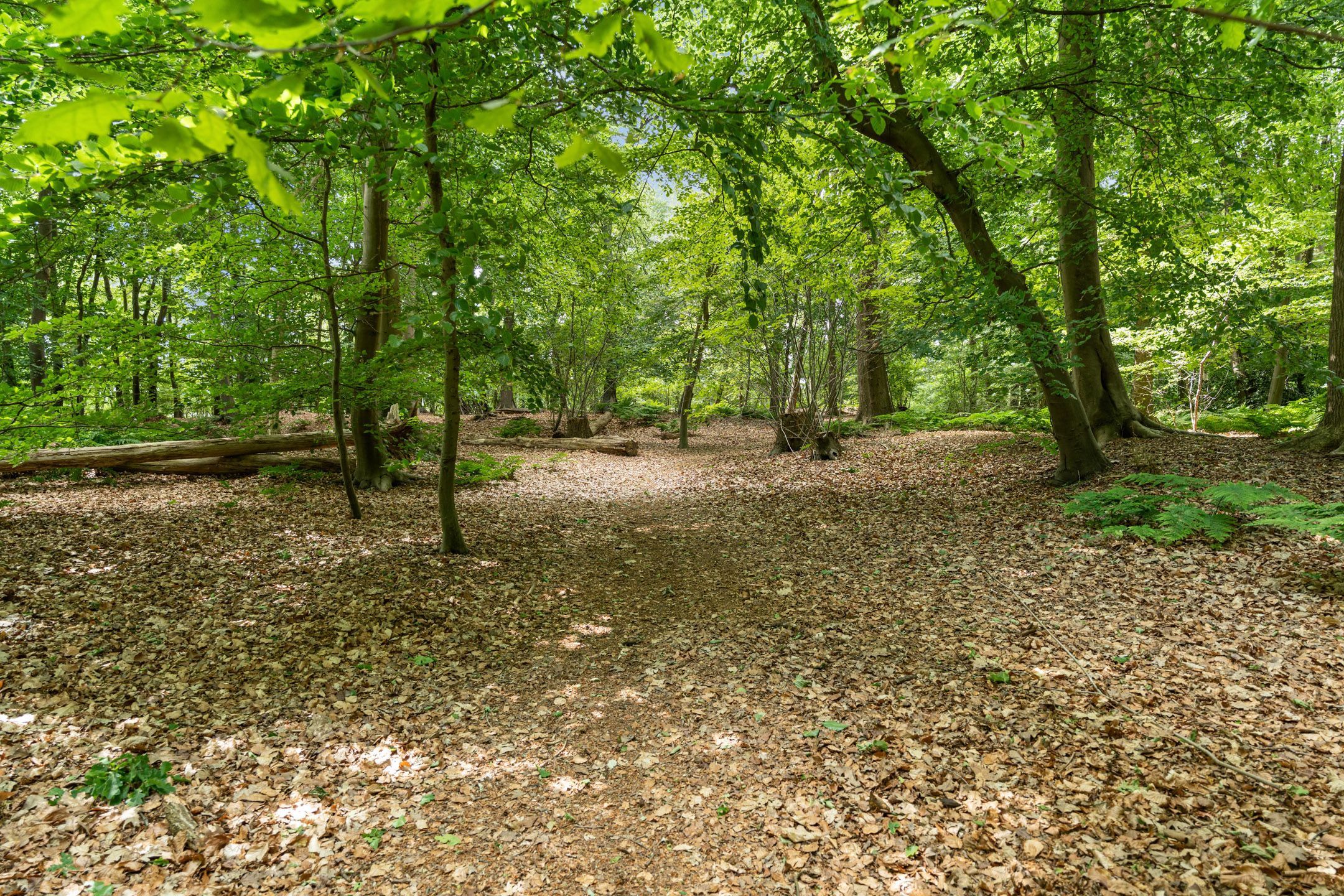 Foto 51 van Nieuw-Amsterdamseweg 20