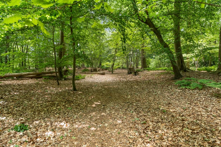 Foto 51 van Nieuw-Amsterdamseweg 20