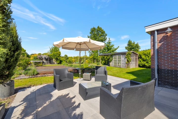 Foto 4 van Reine Claude 15