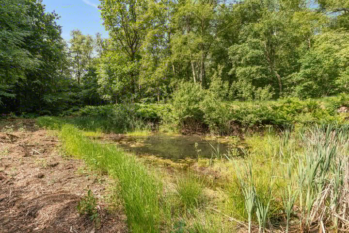 Foto 52 van Nieuw-Amsterdamseweg 20