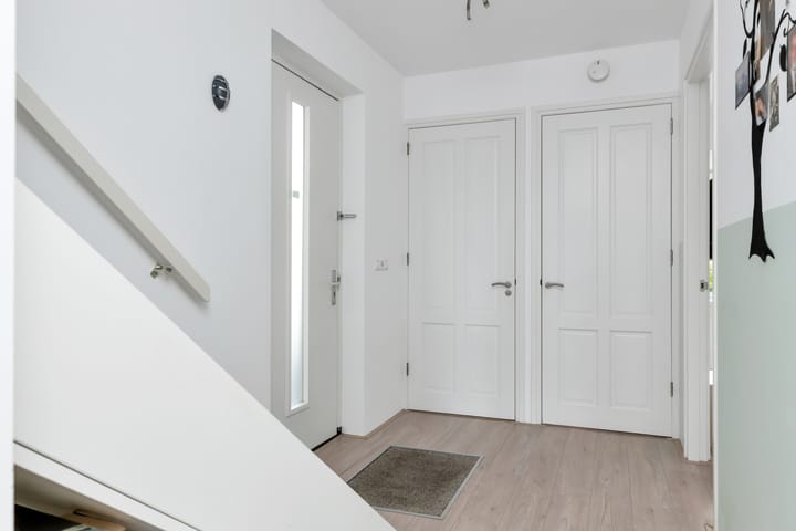 Foto 7 van Reine Claude 15