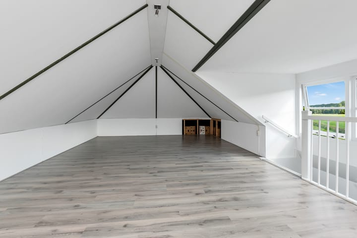 Foto 37 van Reine Claude 15