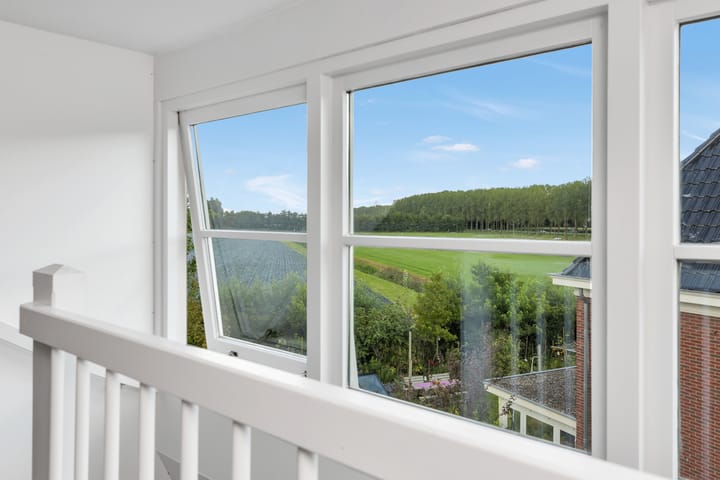 Foto 38 van Reine Claude 15