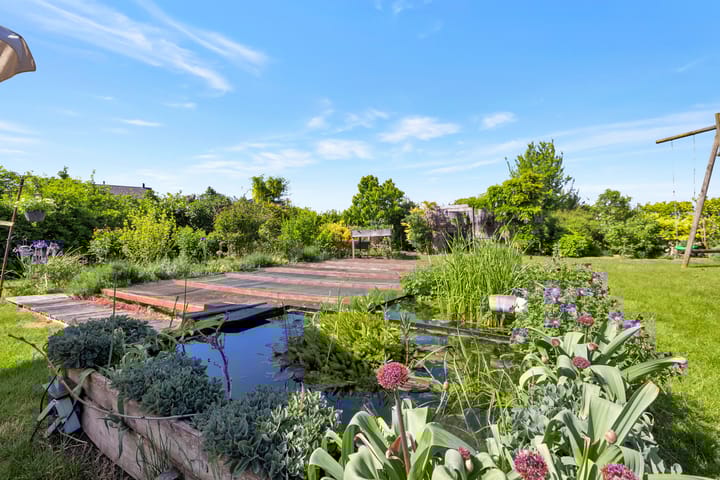 Foto 40 van Reine Claude 15