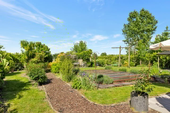 Foto 41 van Reine Claude 15