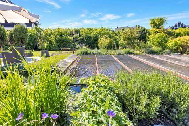 Foto 43 van Reine Claude 15