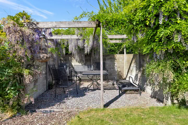 Foto 50 van Reine Claude 15