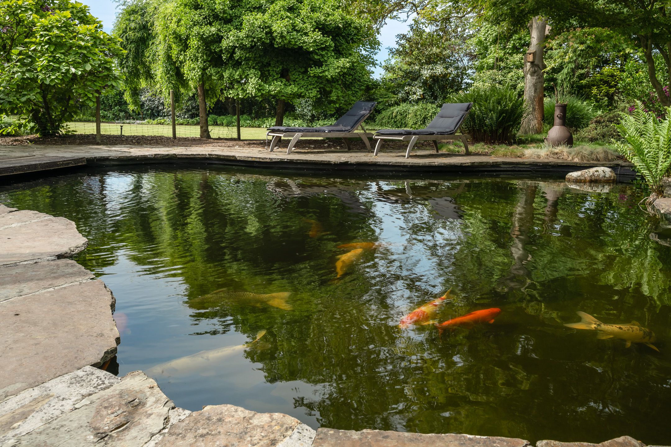 Foto 45 van Bergweg 7