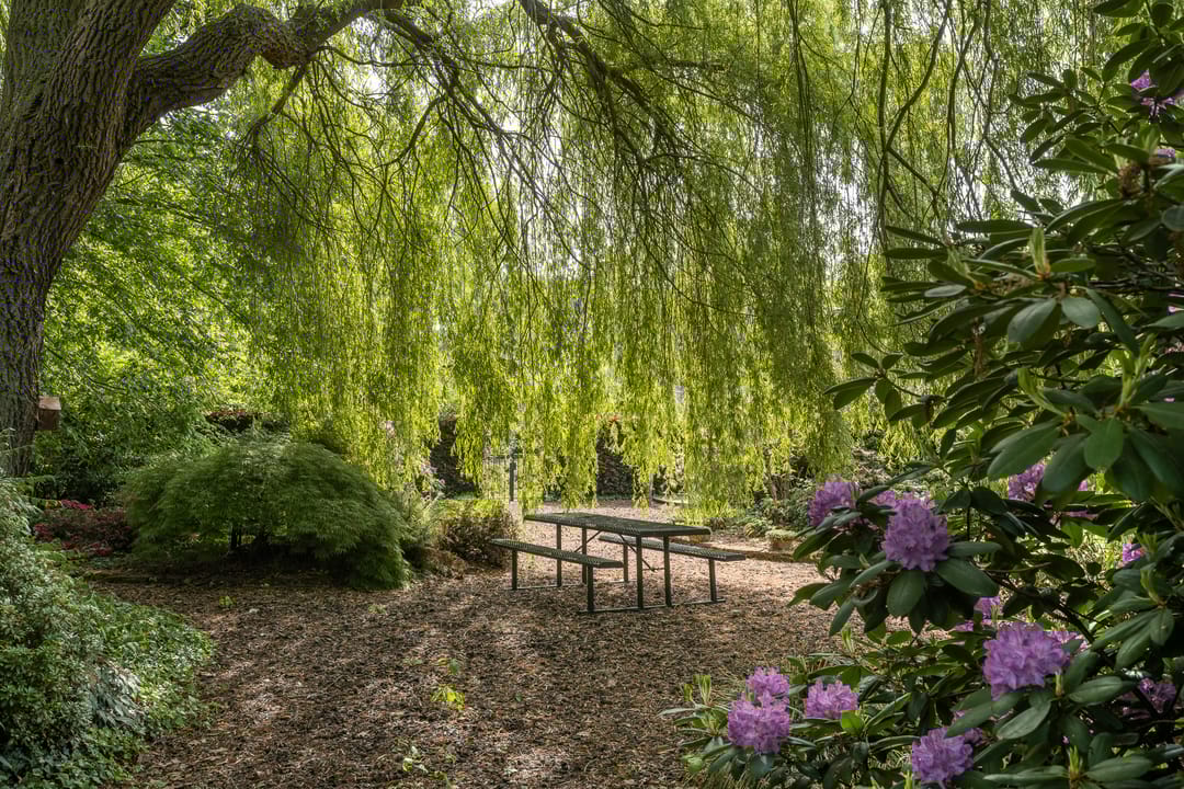 Foto 52 van Bergweg 7