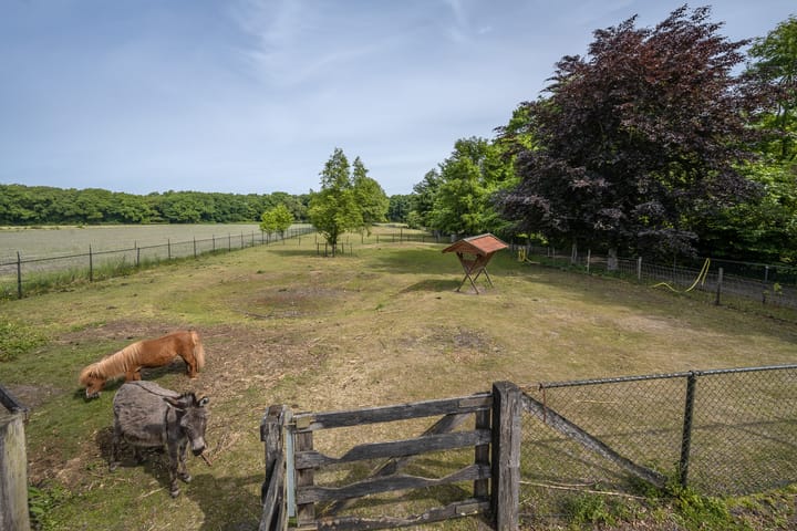 Foto 62 van Bergweg 7