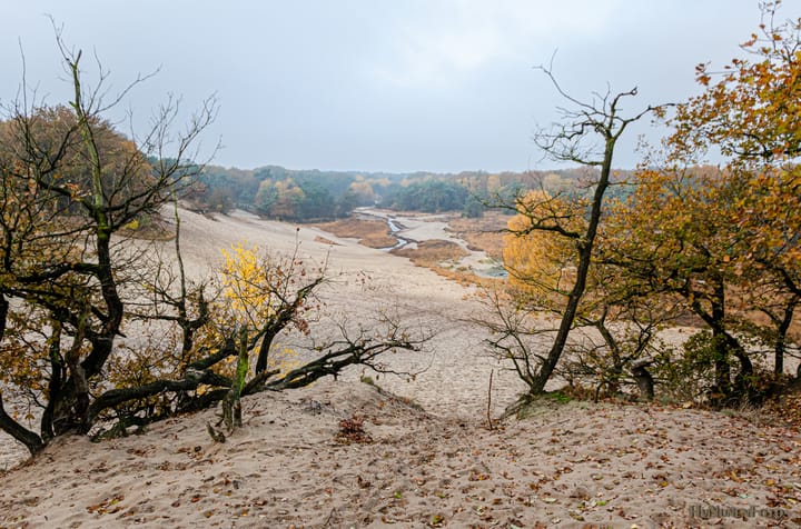 Foto 64 van Bergweg 7