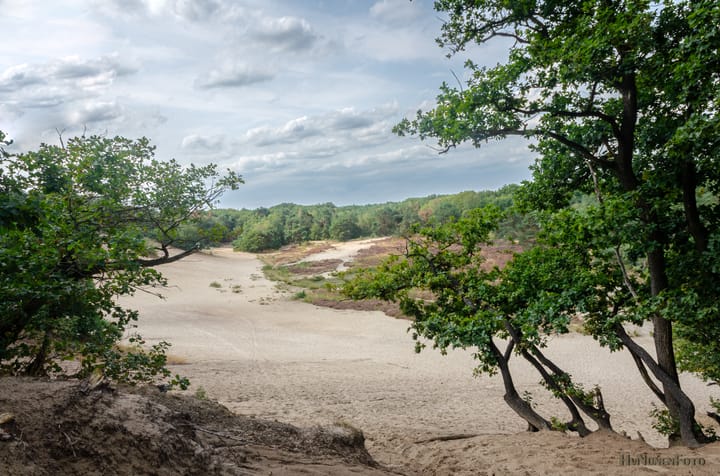 Foto 65 van Bergweg 7