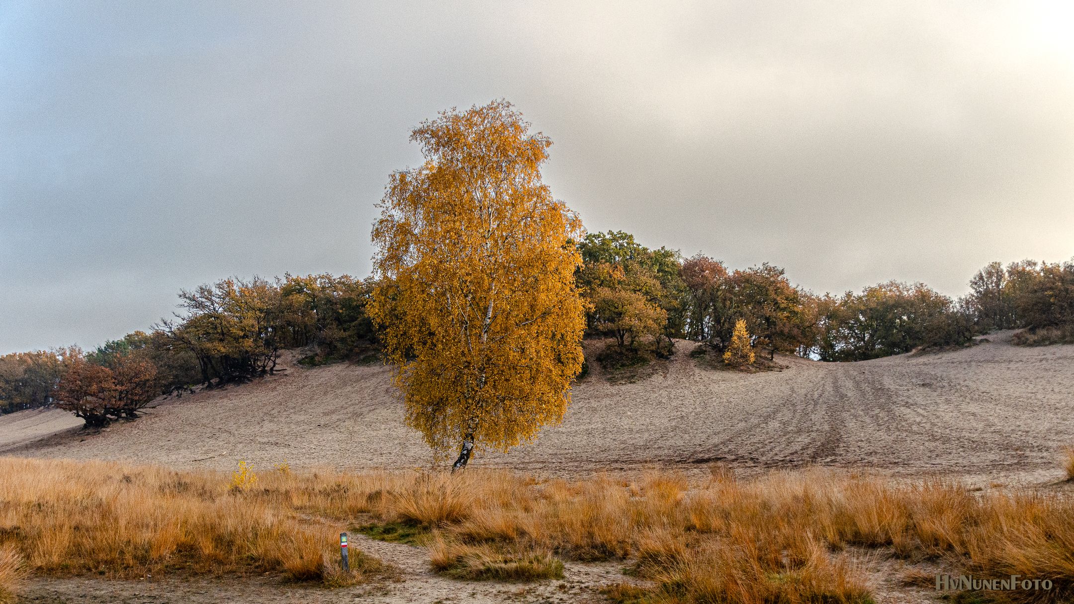 Foto 66 van Bergweg 7