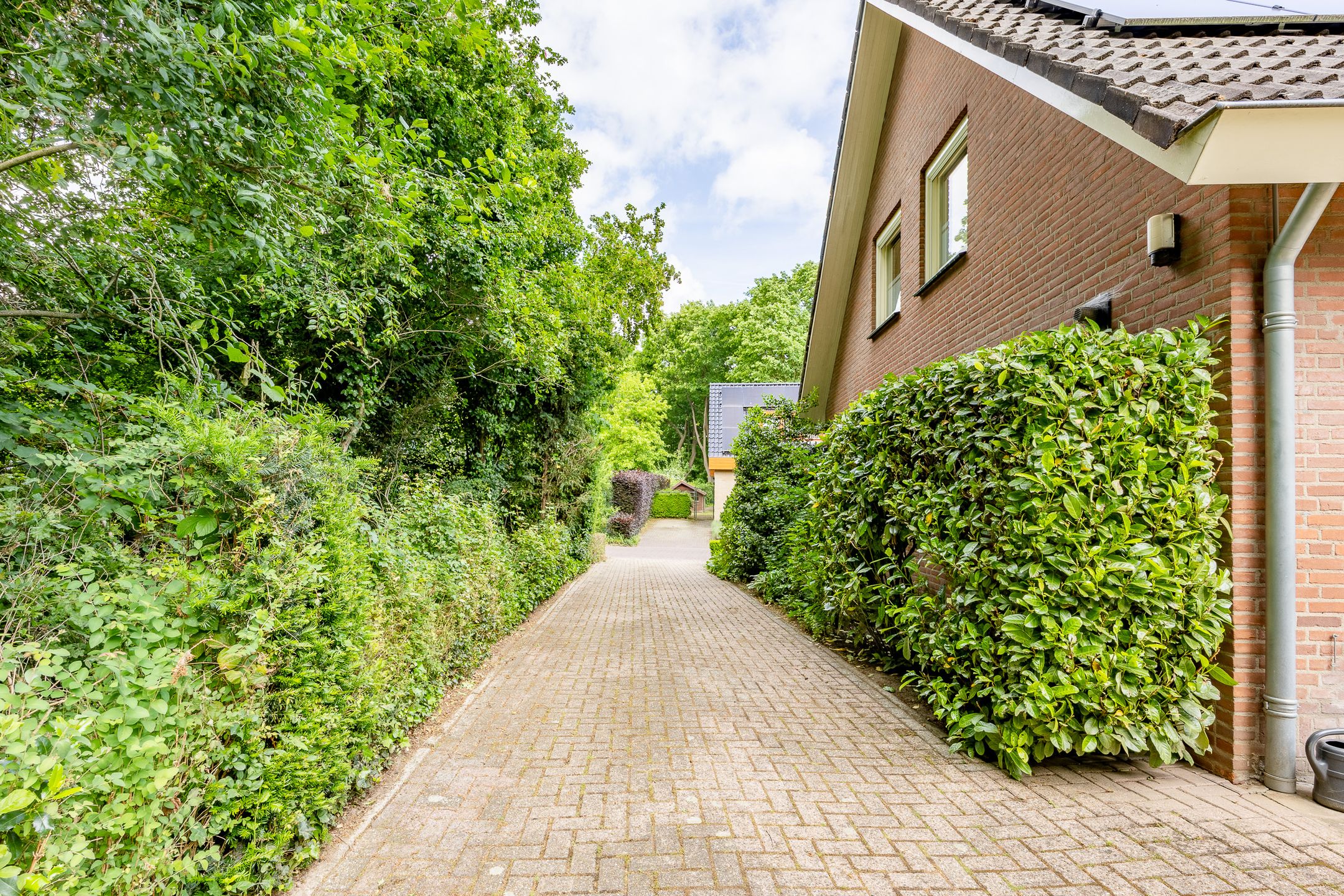 Foto 42 van Fazantstraat 24