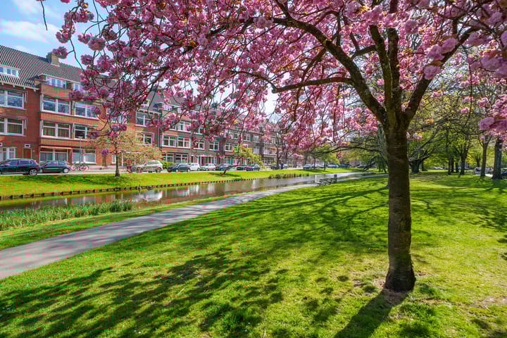 Foto 42 van Statensingel 124-C