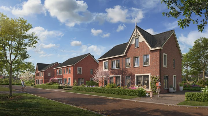 Photo 1 of Korenbloem 17