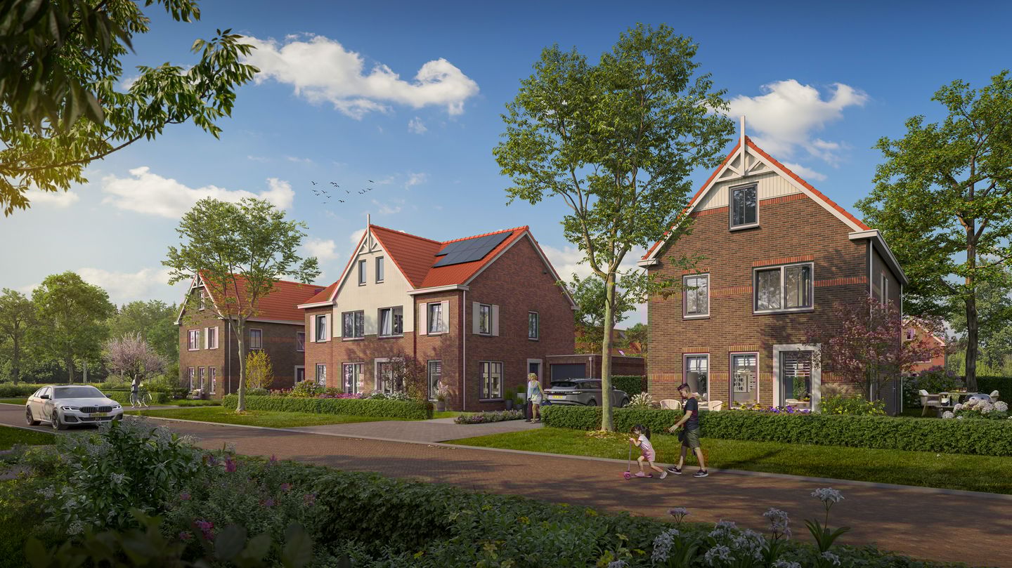 Foto 4 van Korenbloem 25