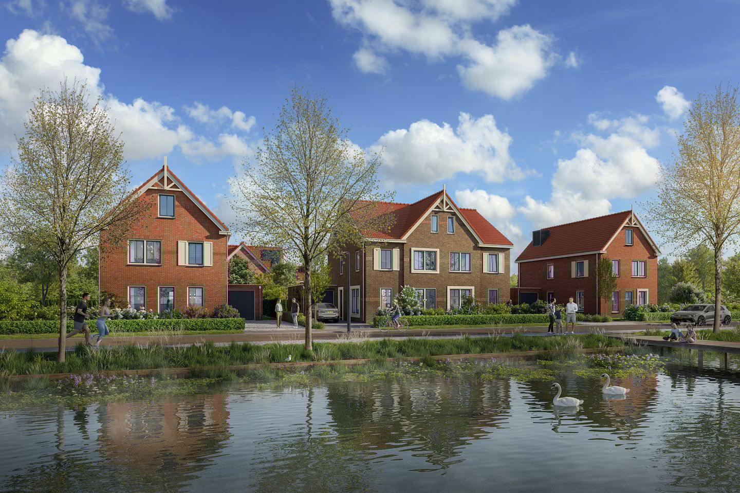 Photo 1 of Korenbloem 40