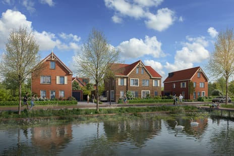 Korenbloem 40 thumbnail