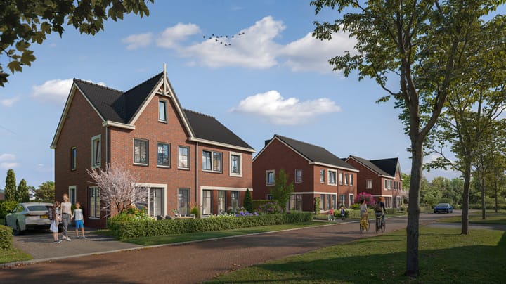 Photo 2 of Korenbloem 22