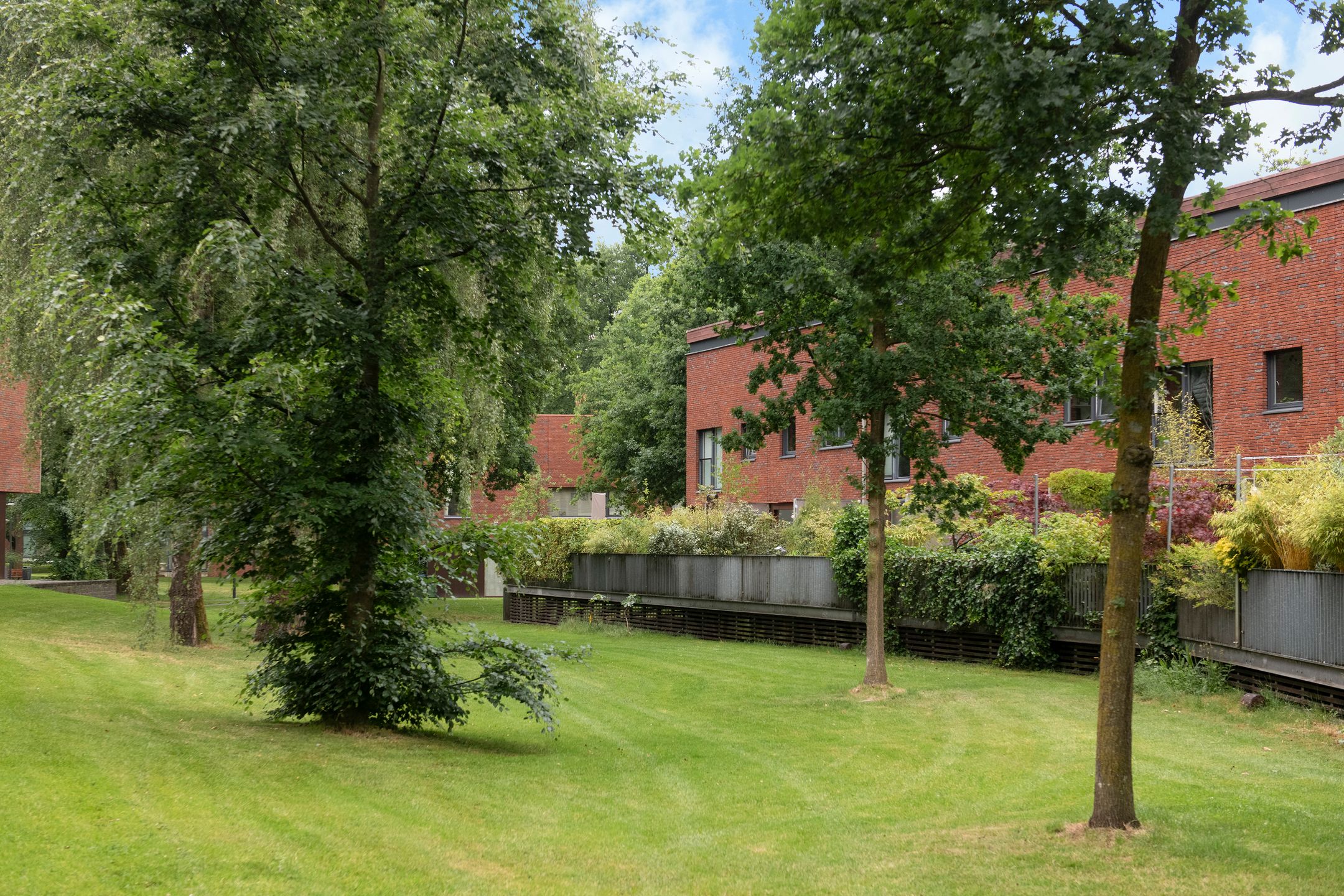 Foto 63 van Berkenlaan 89