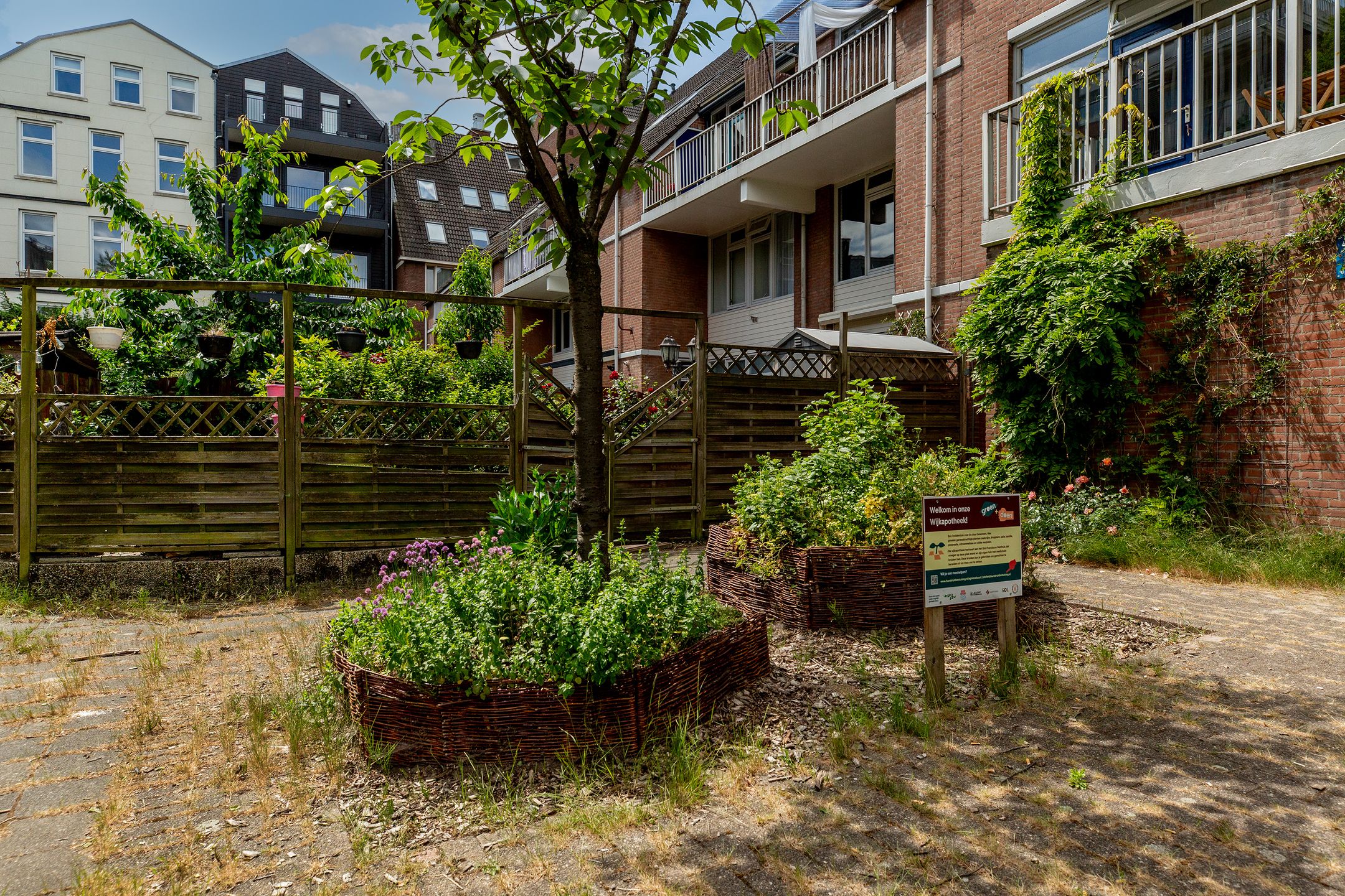 Foto 33 van Meester Marrestraat 58