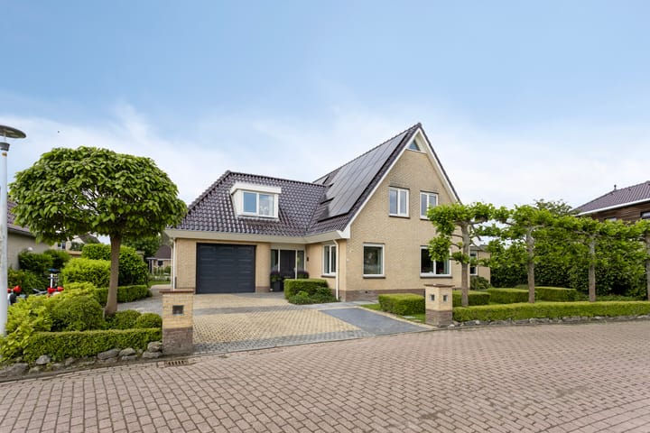 Foto 8 van Vogelzwin 20