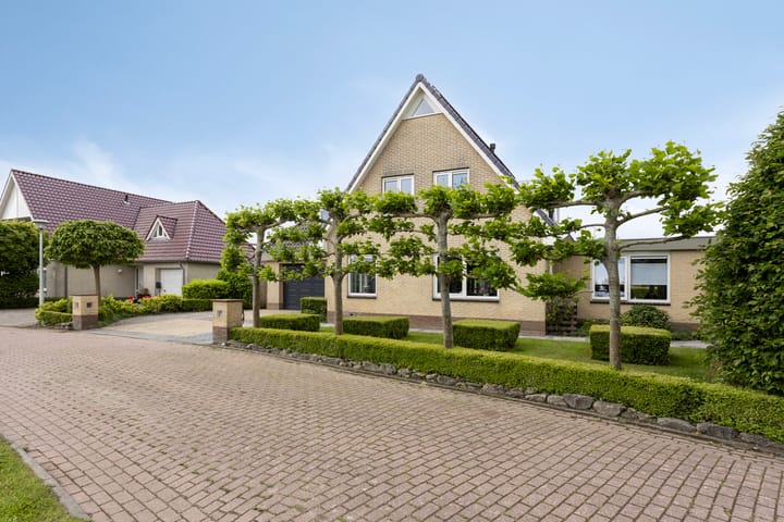 Foto 9 van Vogelzwin 20