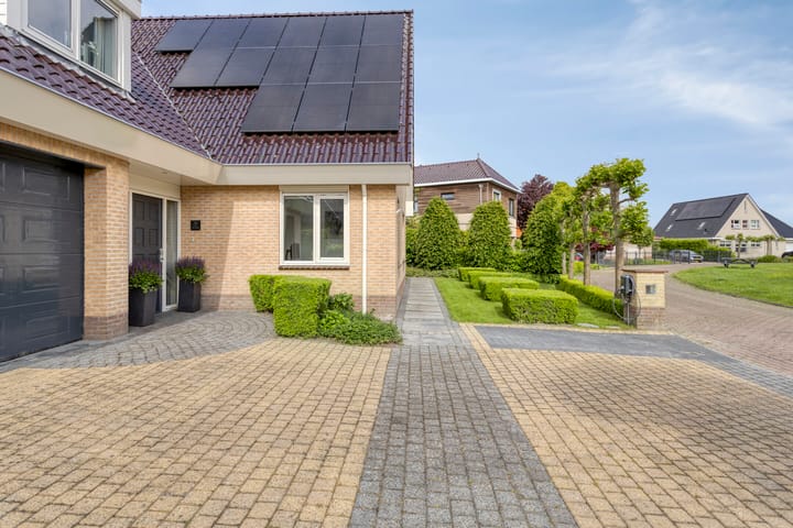 Foto 11 van Vogelzwin 20