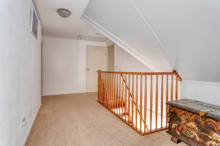 Foto 42 van Vogelzwin 20