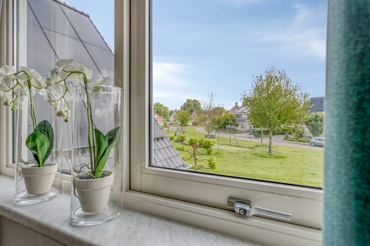 Foto 43 van Vogelzwin 20