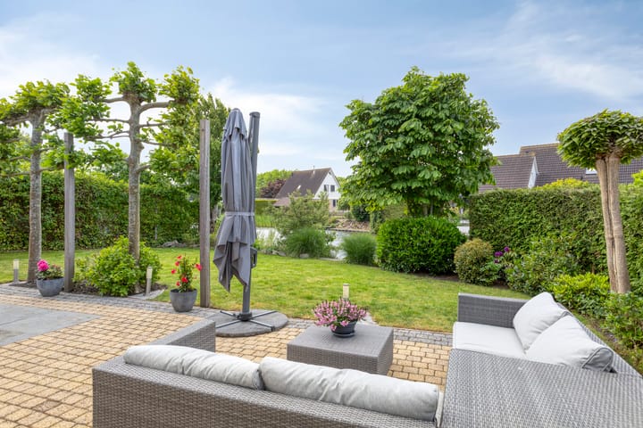 Foto 49 van Vogelzwin 20