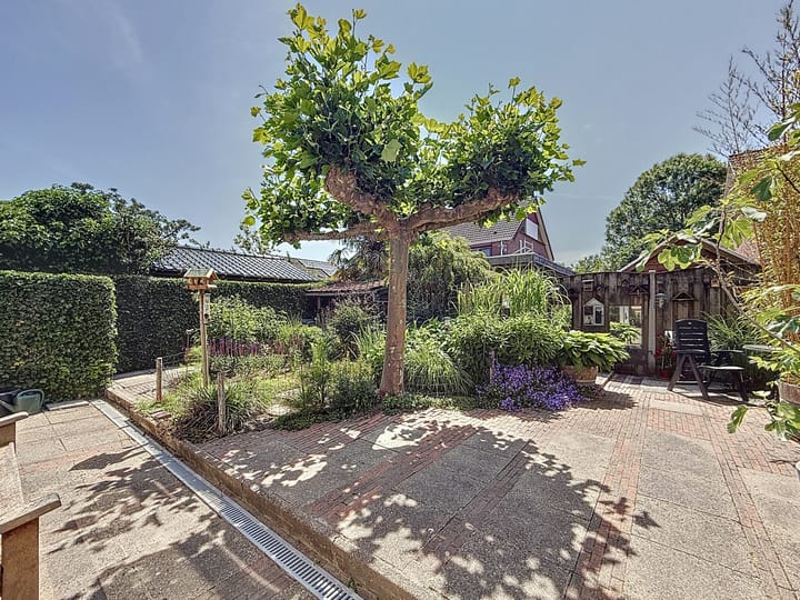 Foto 23 van De Blikken 8