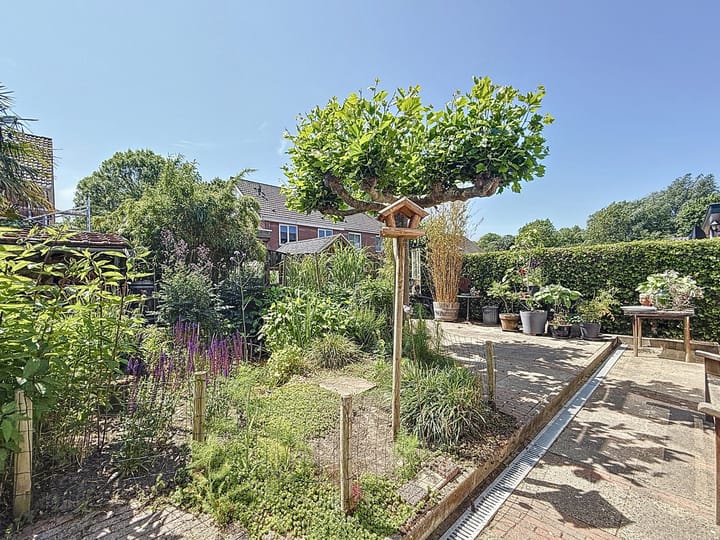 Foto 25 van De Blikken 8