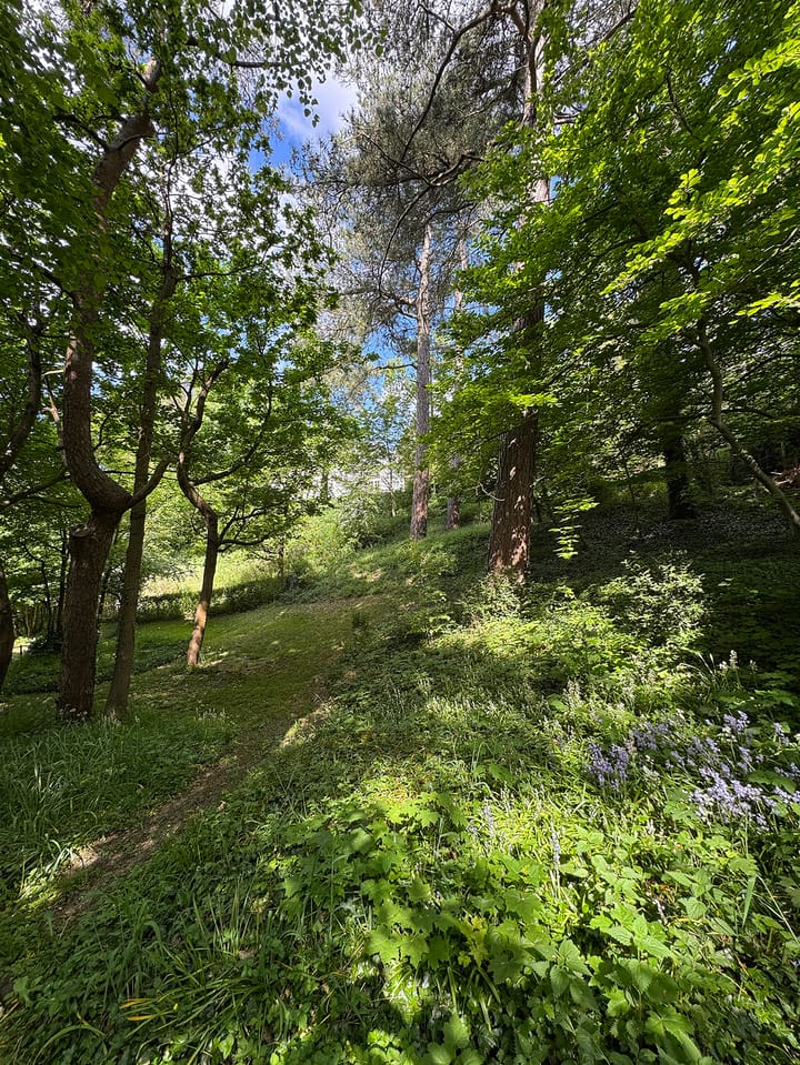 Foto 52 van Hoge Duin en Daalseweg 57