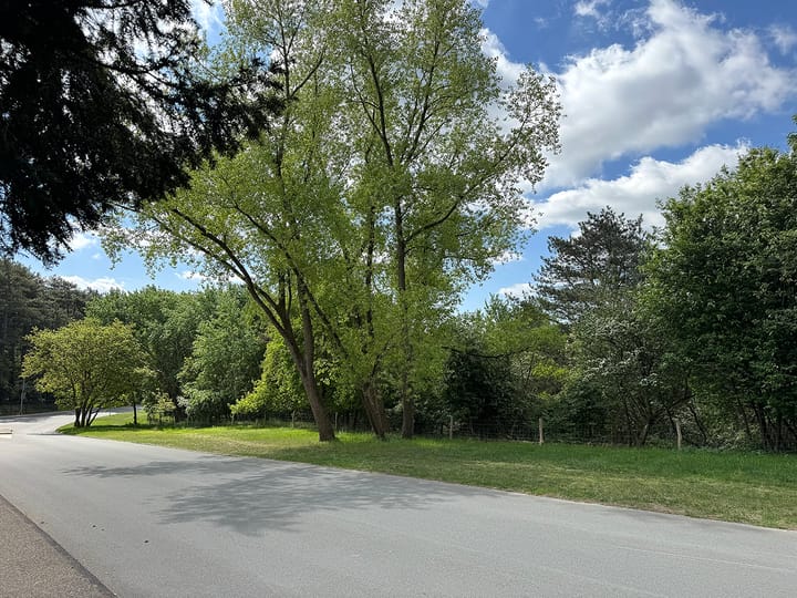 Foto 63 van Hoge Duin en Daalseweg 57