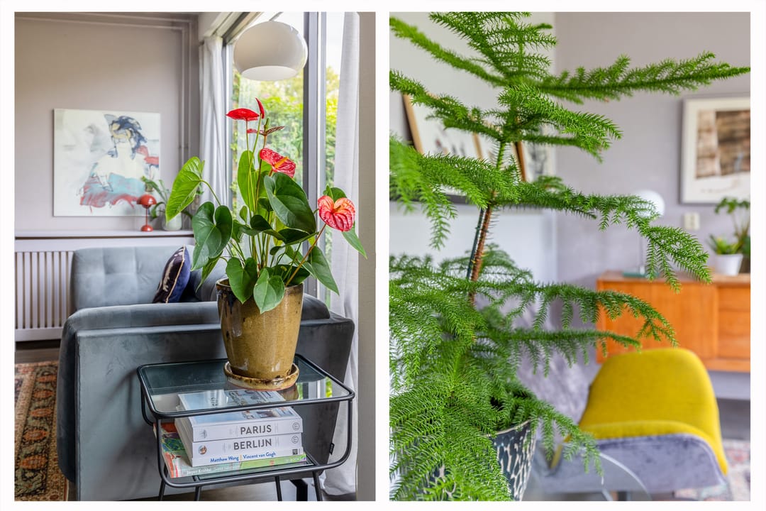 Foto 11 van Kramerstraat 4