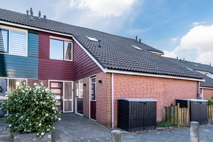 Foto 1 van Fluitekruid 11