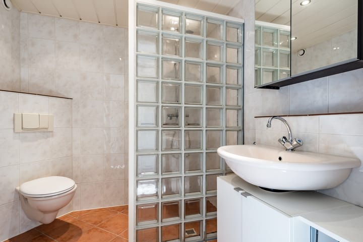 Foto 4 van Fluitekruid 11