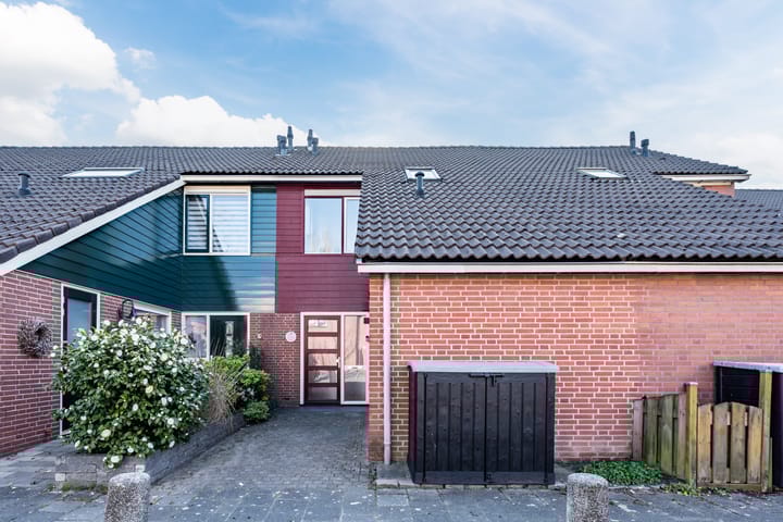 Foto 6 van Fluitekruid 11