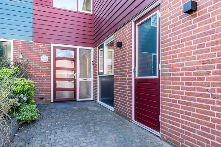 Foto 7 van Fluitekruid 11