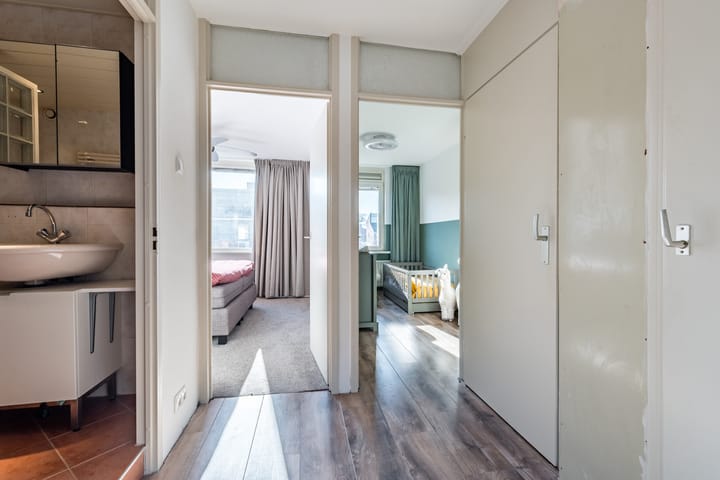 Foto 24 van Fluitekruid 11