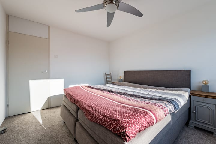 Foto 27 van Fluitekruid 11