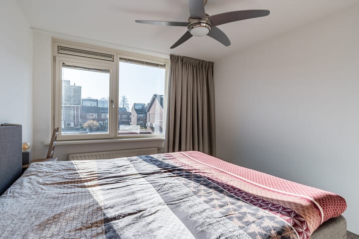 Foto 29 van Fluitekruid 11