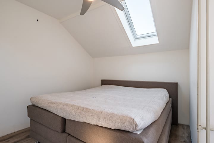 Foto 35 van Fluitekruid 11