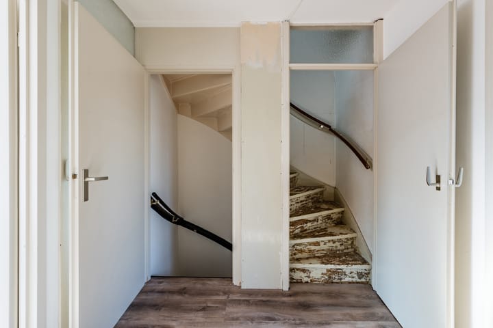 Foto 36 van Fluitekruid 11