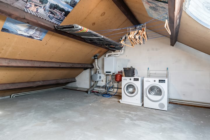 Foto 37 van Fluitekruid 11