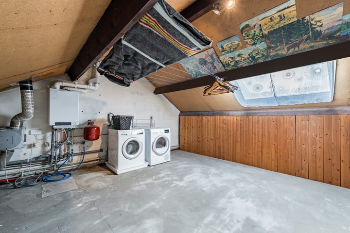 Foto 38 van Fluitekruid 11